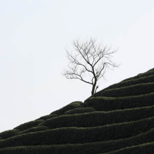 读完《你的金钱还是你的生命》,我终于明白了为什么越忙越穷