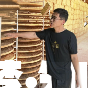 “艾业铺就乡村振兴 之路”——汝阳艾业调研（下）