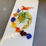 桂蒲-光之疗愈师