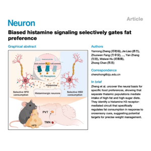 345-Histamine Signaling Gates Fat Preference in the PVT
