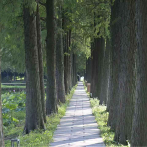 凡人修仙传：从韩立到职场，在不确定中野蛮生长