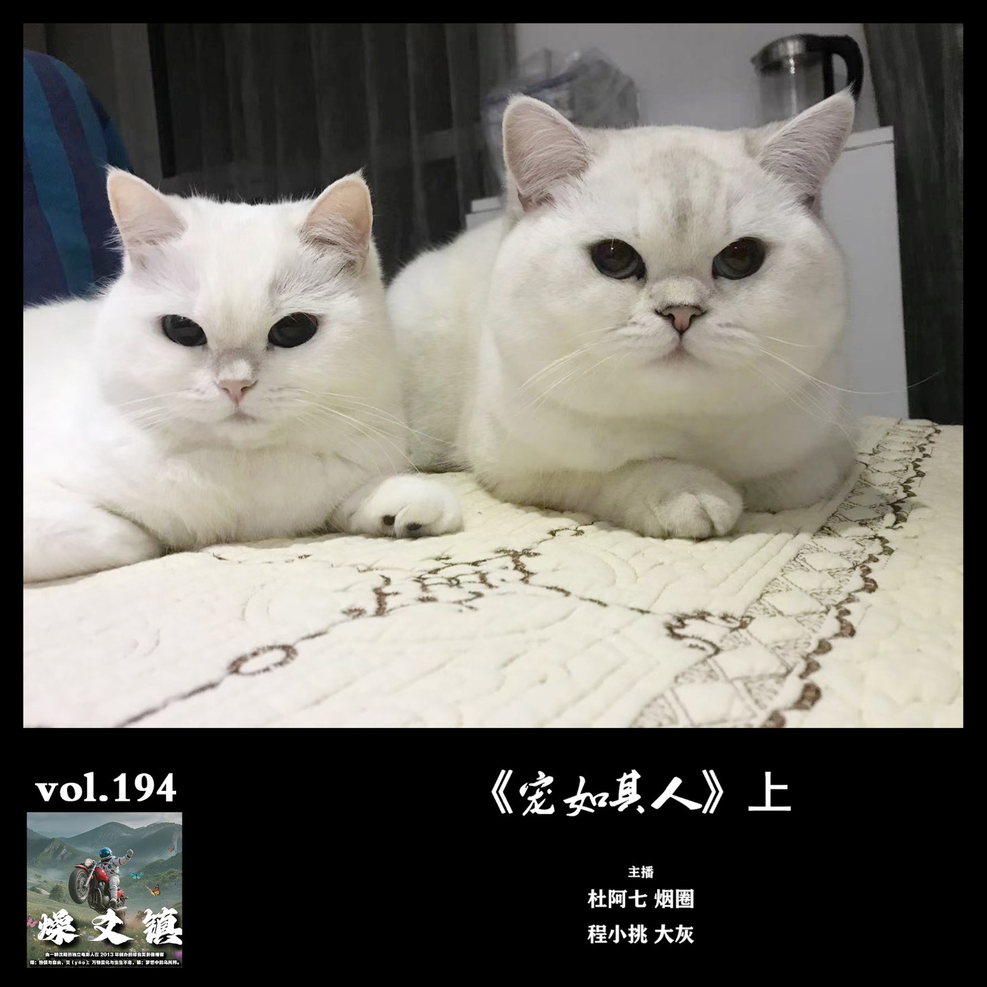 燥爻镇vol.194 宠如其人 上 episode artwork