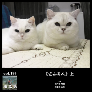 燥爻镇vol.194 宠如其人 上