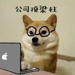 开普勒1123