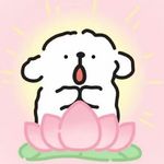 粒子的小屋