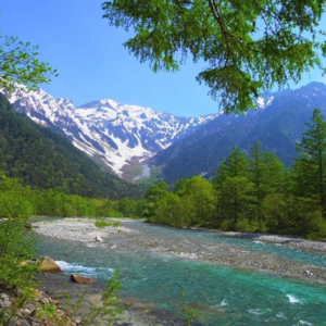 [SR][Cello]7.My Rose • 宁静的钢琴、大提琴和吉他音乐，来自Soothing Relaxation