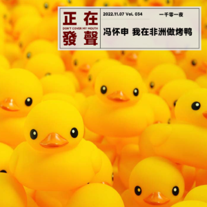 034 冯怀申 我在非洲做烤鸭