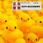 034 冯怀申 我在非洲做烤鸭