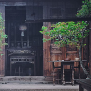 024.古厝隐茶人:闽商韧性的另类茶性表达