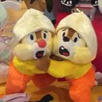 Shir_gBrv