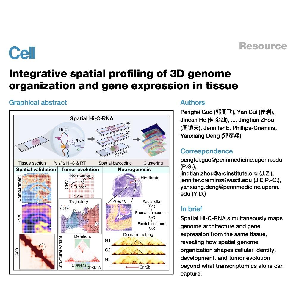 1660-Multimodal Mapping of Tissue Genome Architecture