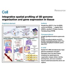 1660-空间三维基因组与转录组整合图谱研究