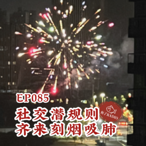 EP085 | 副驾驶禁止睡觉🚫聊聊生活中的社交潜规则