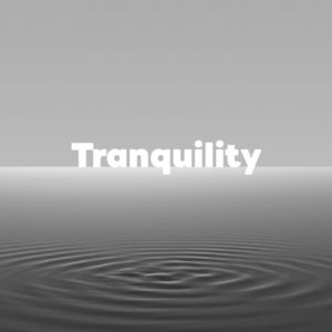 Tranquility 10 | 偏见与道德：探寻一切，轻松快乐的活着