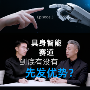 对话灵巧智能CEO周晨EP3：具身智能赛道，到底有没有先发优势？