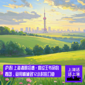 沪语 | 上海清明拾遗 - 救过王爷命的青团，使用精确到72小时的刀鱼