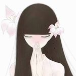 俪鸽俪