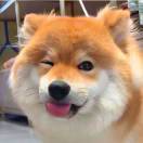 橙子气泡水_eSdC