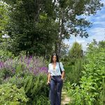 南先生找不到北