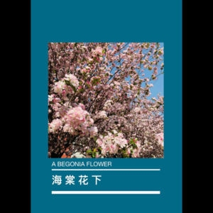 2024-9：anxious people ep#45