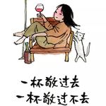 苏朝辉