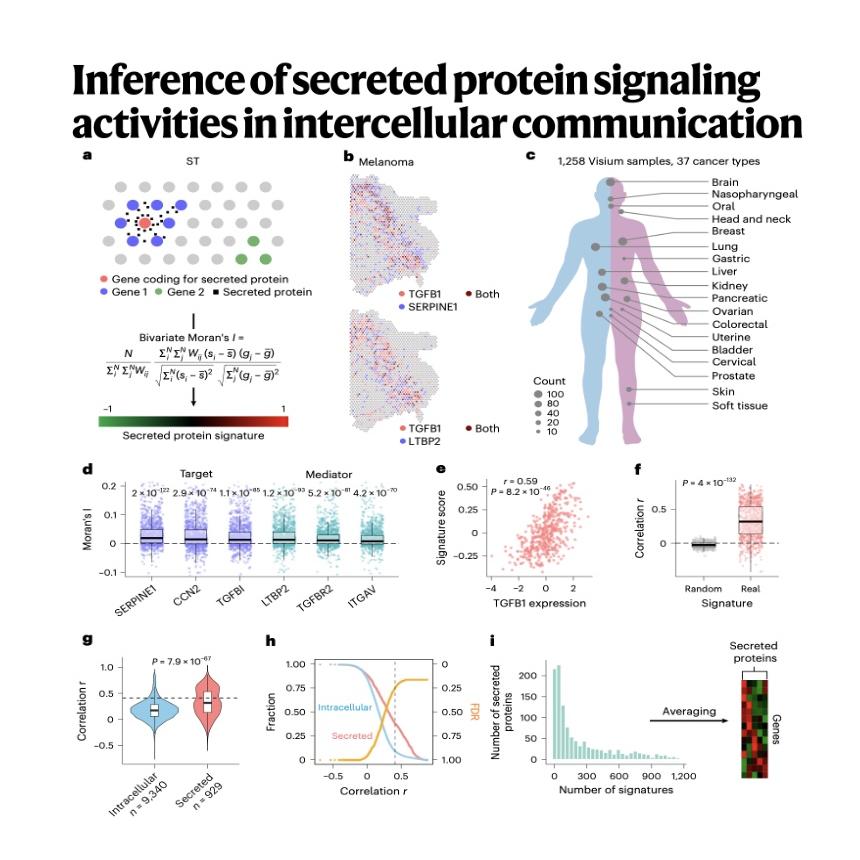 1556-SecAct: Inferring Secreted Protein Signaling Activities episode artwork