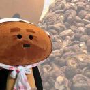 damushroom