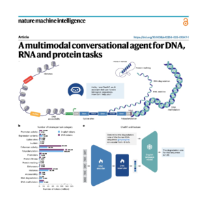 416-ChatNT: A Conversational Agent for DNA, RNA and Proteins