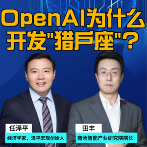 第283集 OpenAI为什么 开发“猎户座”?
