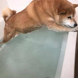 M. 暑假是游泳童子功集训时间。