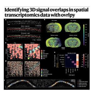 754-ovrlpy:识别空间转录组学中的三维信号重叠