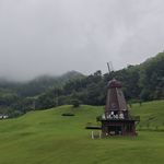 明明不白