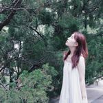 铁甲小周pro