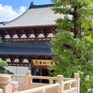 07. 术师吐槽小会（下）——合格的命理师是怎么样的