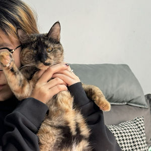 简述格拉斯哥学派风格特点