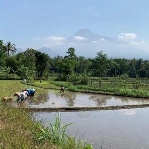 生滚粥 8：为什么是东南亚？什么样的复杂性？（对方、Aung、蔡影茜、蔡俏凌）