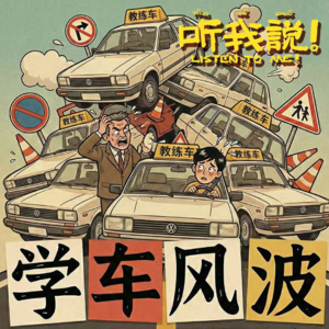 53 听我说！学车风波