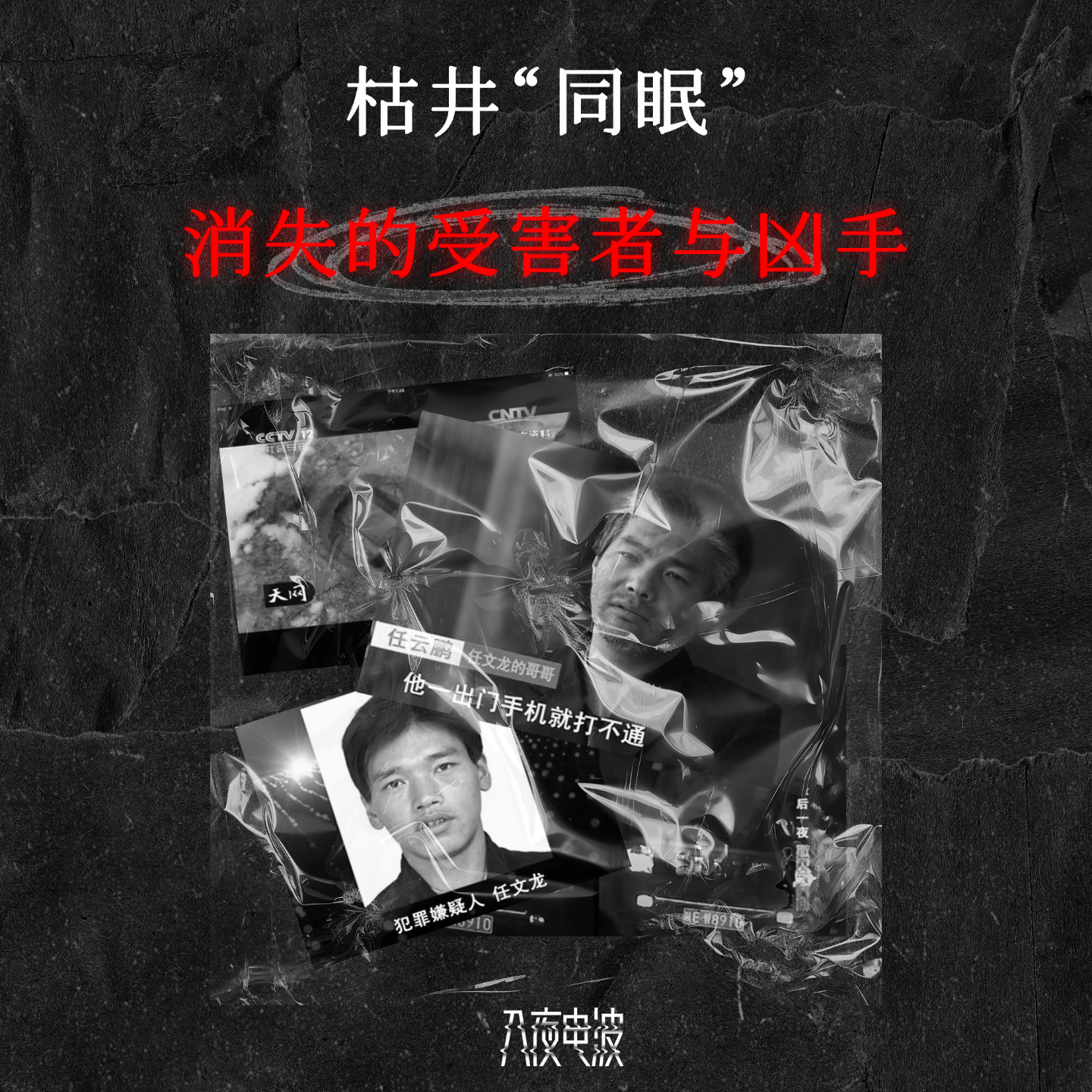 019.枯井“同眠”：消失的受害者与凶手 episode artwork