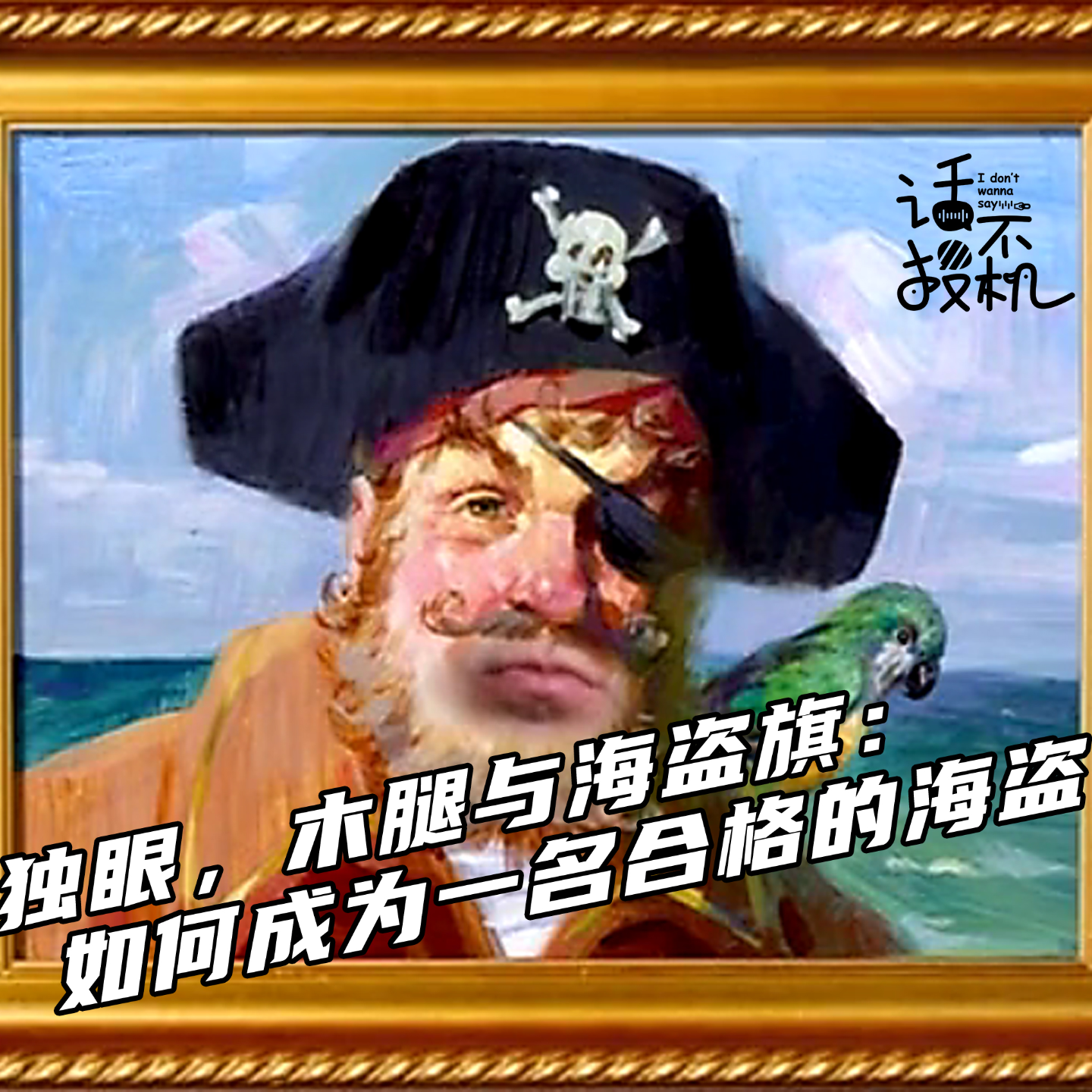 独眼，木腿与海盗旗：如何成为一名合格的海盗 episode artwork