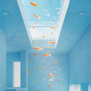 39-你的爱情密码早已悄悄写在了出生时辰中~这是一期干货哦