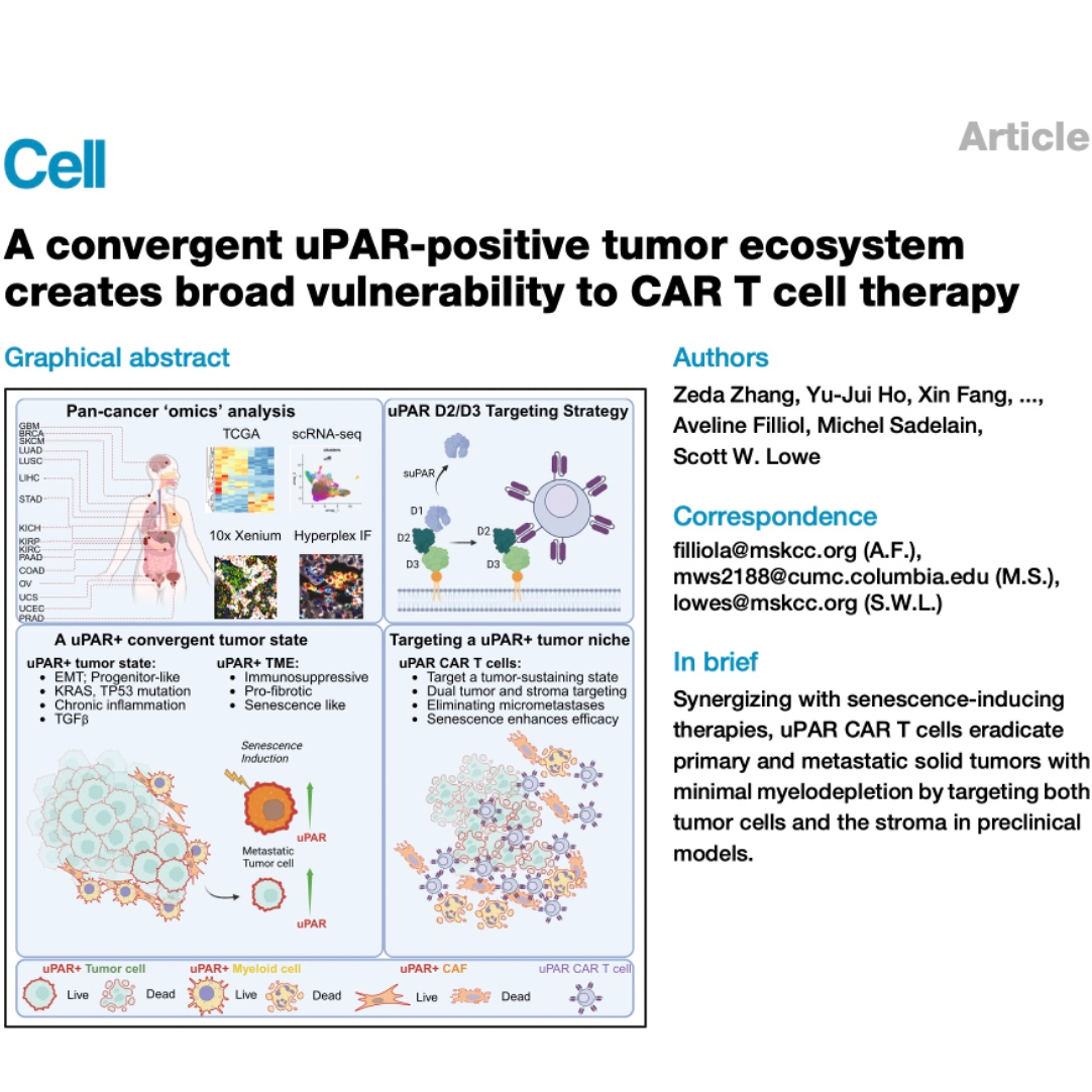 791-Targeting uPAR-Positive Tumor with CAR T Cell Therapy episode artwork