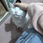siyue0417