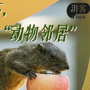 疫情之下，我们的“动物邻居”还好吗？