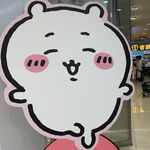 小飞侠波比
