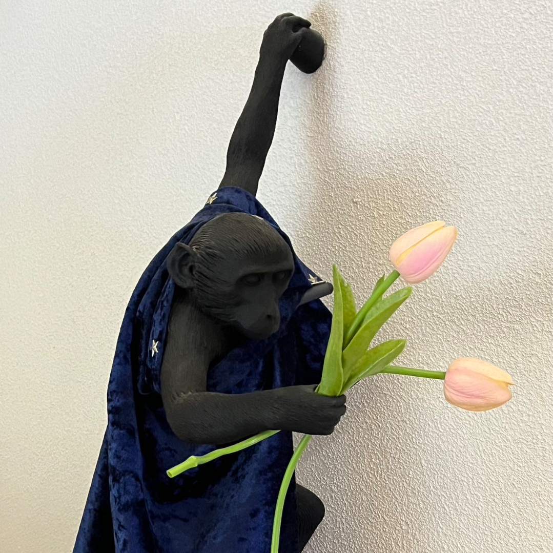 芥末小王