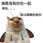 火辣翘臀老蟑螂