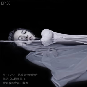 EP.36 从小Hebe一路唱到金曲歌后，华语乐坛最强单飞：爱唱歌的女孩田馥甄