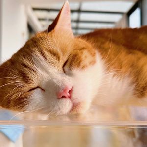 方方只是昵称罢了