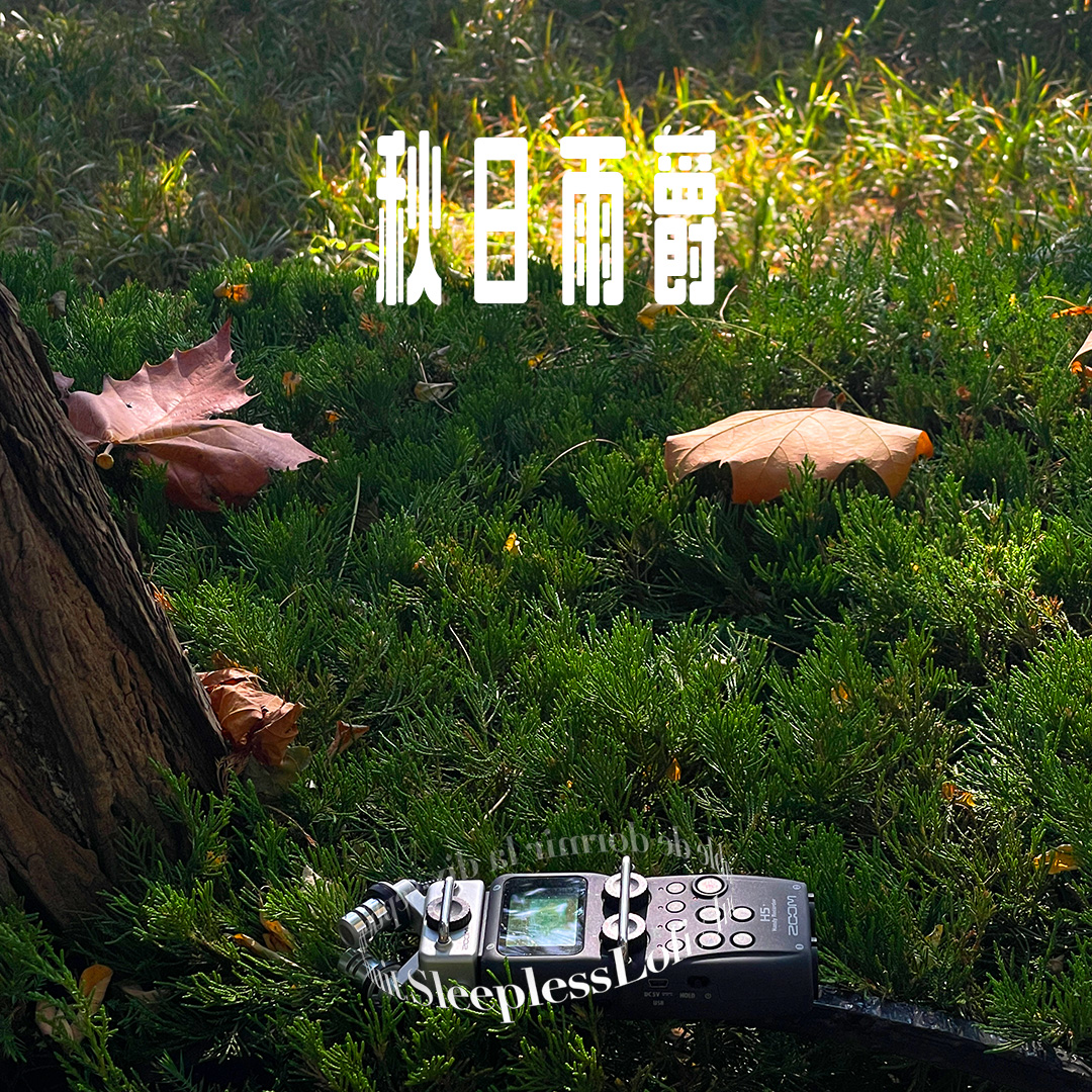 SleeplessLofi