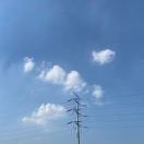 大齐Roger
